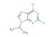 2,6-dichloro-9-isopropyl-9H-purine