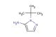 1-(tert-butyl)-1H-pyrazol-5-amine
