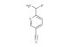 6-(1-bromoethyl)nicotinonitrile