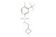 N-(cyclobutylmethyl)-4-fluoro-3-(trifluoromethyl)benzenesulfonamide