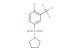 1-((4-fluoro-3-(trifluoromethyl)phenyl)sulfonyl)pyrrolidine