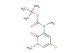tert-butyl (5-fluoro-1-methyl-2-oxo-1,2-dihydropyridin-3-yl)(methyl)carbamate