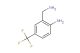 2-(aminomethyl)-4-(trifluoromethyl)aniline