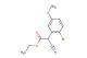 ethyl 2-(2-bromo-5-methoxyphenyl)-2-cyanoacetate