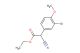 ethyl 2-(3-bromo-4-methoxyphenyl)-2-cyanoacetate