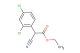 ethyl 2-cyano-2-(2,4-dichlorophenyl)acetate