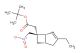 tert-butyl 2-((1R,5S,6S)-3-ethyl-6-(nitromethyl)bicyclo[3.2.0]hept-3-en-6-yl)acetate