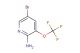 5-bromo-3-(trifluoromethoxy)pyridin-2-amine