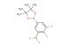 2-(3-(difluoromethyl)-4,5-difluorophenyl)-4,4,5,5-tetramethyl-1,3,2-dioxaborolane