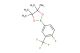2-(4-fluoro-3-(trifluoromethyl)phenyl)-4,4,5,5-tetramethyl-1,3,2-dioxaborolane