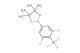 2-(3,5-difluoro-4-(trifluoromethyl)phenyl)-4,4,5,5-tetramethyl-1,3,2-dioxaborolane