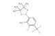2-(3-fluoro-2-methyl-4-(trifluoromethyl)phenyl)-4,4,5,5-tetramethyl-1,3,2-dioxaborolane