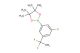 2-(3-(1,1-difluoroethyl)-5-fluorophenyl)-4,4,5,5-tetramethyl-1,3,2-dioxaborolane
