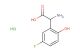 2-amino-2-(5-fluoro-2-hydroxyphenyl)acetic acid hydrochloride