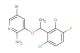 5-bromo-3-(1-(2,6-dichloro-3-fluorophenyl)ethoxy)pyridin-2-amine