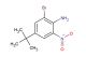 2-bromo-4-(tert-butyl)-6-nitroaniline