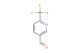 6-(trifluoromethyl)nicotinaldehyde