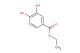 ethyl 3,4-dihydroxybenzoate