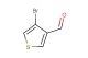 4-bromothiophene-3-carbaldehyde