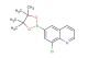8-chloro-6-(4,4,5,5-tetramethyl-1,3,2-dioxaborolan-2-yl)quinoline