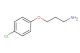 3-(4-chlorophenoxy)propan-1-amine