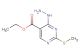 ethyl 4-hydrazinyl-2-(methylthio)pyrimidine-5-carboxylate