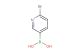 (6-bromopyridin-3-yl)boronic acid
