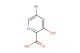 5-bromo-3-hydroxypicolinic acid