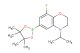 8-fluoro-4-isopropyl-6-(4,4,5,5-tetramethyl-1,3,2-dioxaborolan-2-yl)-3,4-dihydro-2H-benzo[b][1,4]oxazine