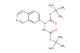 di-tert-butyl 1-(isoquinolin-7-yl)hydrazine-1,2-dicarboxylate
