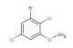 1-bromo-2,5-dichloro-3-methoxybenzene
