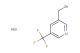 3-(bromomethyl)-5-(trifluoromethyl)pyridine hydrobromide