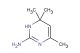 4,6,6-trimethyl-1,6-dihydropyrimidin-2-amine