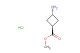 methyl trans-3-aminocyclobutane-1-carboxylate hydrochloride