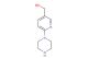 (6-(piperazin-1-yl)pyridin-3-yl)methanol