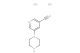 5-(piperazin-1-yl)nicotinonitrile dihydrochloride