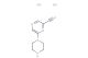 6-(piperazin-1-yl)pyrazine-2-carbonitrile dihydrochloride