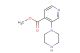 methyl 3-(piperazin-1-yl)isonicotinate