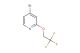 4-bromo-2-(2,2,2-trifluoroethoxy)pyridine