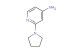 2-(pyrrolidin-1-yl)pyridin-4-amine