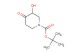 tert-Butyl 3-hydroxy-4-oxopiperidine-1-carboxylate