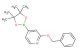 2-(benzyloxy)-4-(4,4,5,5-tetramethyl-1,3,2-dioxaborolan-2-yl)pyridine