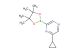 2-cyclopropyl-6-(4,4,5,5-tetramethyl-1,3,2-dioxaborolan-2-yl)pyrazine