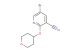 5-bromo-2-(tetrahydro-2H-pyran-4-yloxy)pyridine-3-carbonitrile