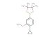 2-(4-cyclopropyl-3-methoxyphenyl)-4,4,5,5-tetramethyl-1,3,2-dioxaborolane