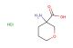 3-amino-tetrahydropyrane-3-carboxylic acid hydrochloride
