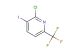 2-chloro-3-iodo-6-(trifluoromethyl)pyridine