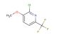 2-chloro-3-methoxy-6-(trifluoromethyl)pyridine