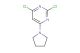 2,4-dichloro-6-(pyrrolidin-1-yl)pyrimidine