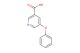 5-phenoxynicotinic acid